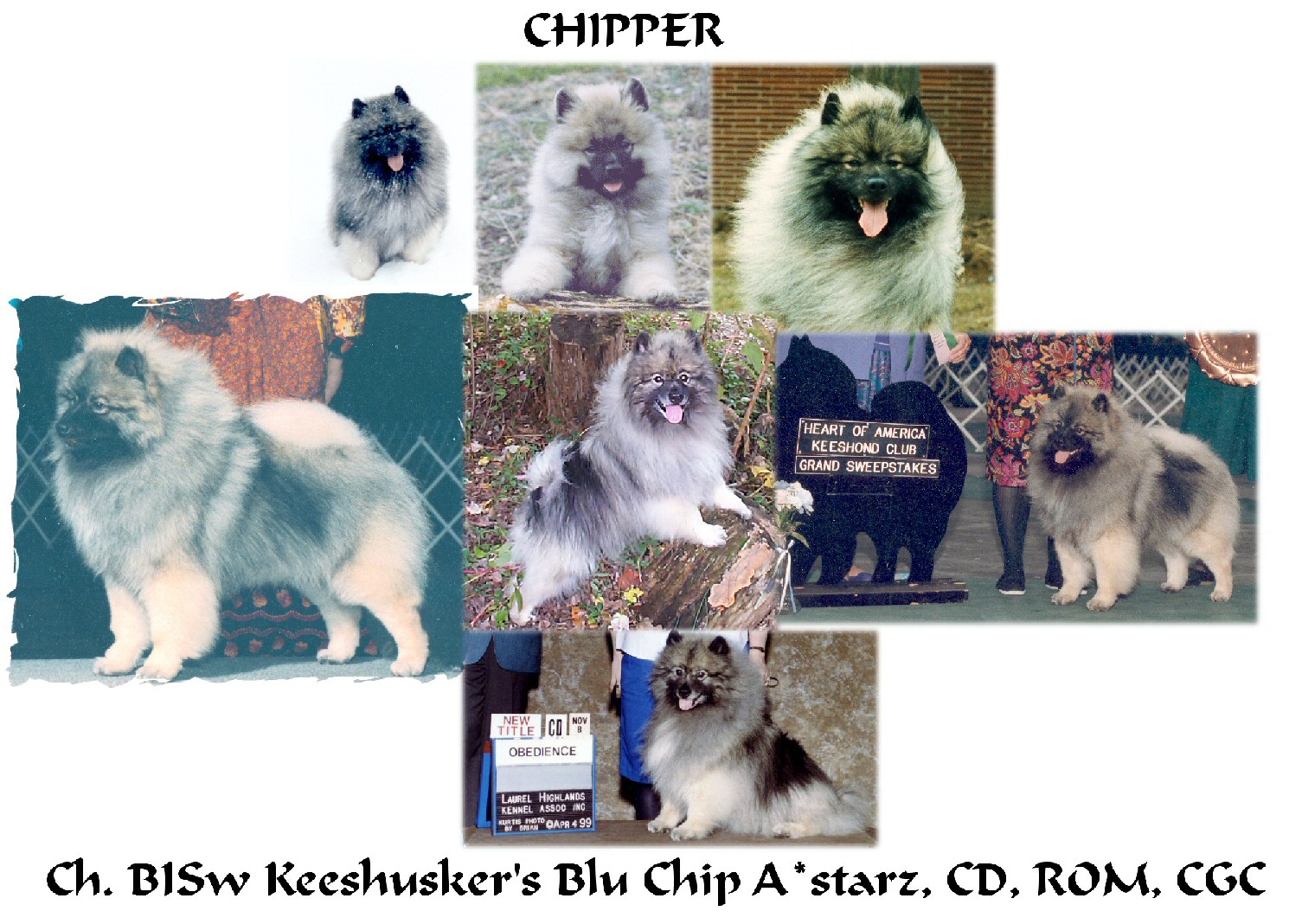 [Chipper Collage]