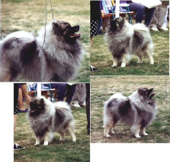 [Pictures of Delilah]